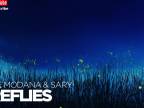 Steve Modana & Sary - Fireflies