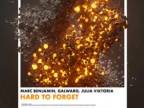 Marc Benjamin, Galwaro, Julia Viktoria - Hard To Forget