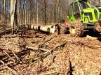 Ťažba dreva a práca v lese