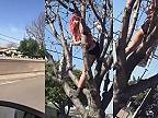 Drogovo závislá žena vyliezla na strom, asi si myslela, že je vták (USA)
