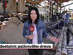 Obavy z drahého plynu spôsobili nedostatok palivového dreva na Slovensku