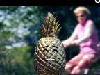 Jay Hardway - Golden Pineapple