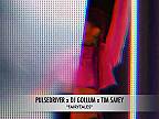 Pulsedriver x DJ Gollum x Tim Savey - Fairytales (feat. Nethy Aber)