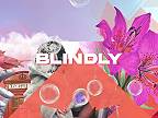 Dukewood, De Hofnar & Kav Verhouzer - Blindly