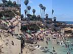 Dva uškatce prenasledujú turistov na pláži v San Diegu