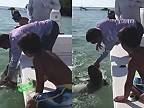 Premotivovaný idiot chcel na palubu vytiahnuť malého žraloka (drsné zábery)