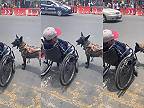 Elektrický invalidný vozík nepotrebuje, má cvičeného belgického ovčiaka