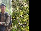 Skúsený lesník o bezzásahu v TANAPe a nebezpečenstvo požiarov