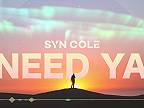 Syn Cole - Need Ya