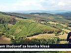 Slovensku hrozí, že nebude mať dostatok kvalifikovaných lesníkov