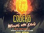 Walking With Lions (Official Electric Zoo Anthem)