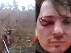 Poľovník po útoku jeleňa takmer prišiel o oko, roztrhol mu viečko (DRSNÉ ZÁBERY)