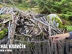 Michal Kravčík. Bezzásahové lesy sú zničená príroda