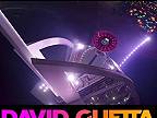 David Guetta & MORTEN ft. RAYE - You Can't Change Me