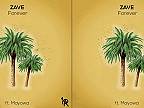 Zave - Forever (feat. Mayowa)