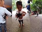 Dievčatko má dvoch miláčikov - obrovské tarantuly