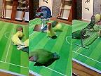 Papagáje radi hrajú proti sebe loptové hry