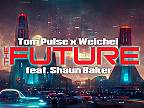 The Future (Extended Mix)