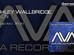 Ashley Wallbridge - Vision