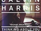 Calvin Harris - Thinking About You (Michael Brun Remix) ft. Ayah Marar