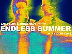 Sam Feldt & Jonas Blue pres. Endless Summer - Crying On The Dance Floor