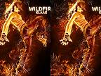 Wildfire