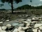 Tsunami 2004