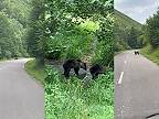 V Kľačne skrížili cestu motoristovi tri medvede