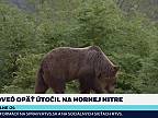 Na Hornej Nitre opäť útočil medveď. Záhrady miestnych navštevuje pravidelne