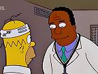 Homerova zelená medicínka
