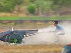 Preteky thajských roľníkov, ktorý jazdia na turbo traktoroch po ryžových poliach