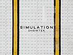 Simulation