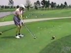 Vták vs. golf