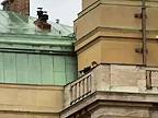 Zábery pražského teroristu Davida Kozáka na streche, tesne pred smrťou