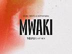 Mwaki (Tiësto's VIP Mix)