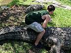 Henry je najstarší krokodíl nílsky na svete, má 120 rokov, 5 metrov a váži tonu!