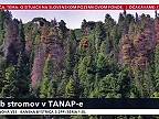 Výrub stromov v TANAPe. Erik Baláž dostal drsnú nakladačku od skúseného experta