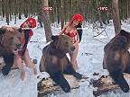 V Rusku medvede nestrieľajú!