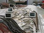 Ponuka atlantických rýb v obchode HiperDino v nákupnom cente Siam Mall
