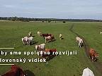 Čo si predstavíte, keď sa povie agrolesníctvo?