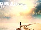 Roman Messer & Rocco - You're Not Alone