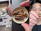 V automate na hmyz v Japonsku si môžete kúpiť aj obrovské cvrčky