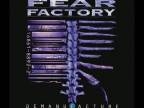 Fear Factory (3.)