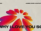 Alok, James Hurr & Supafly - Why I Love You So