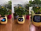 Květináč Plantagotchi