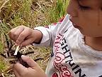 Malý chlapec vám ukáže, aký veľké hryzáky má tarantula!