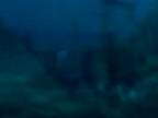 Tomb Raider Underworld diving trailer