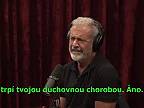 Mel Gibson interview with joe rogan experience 2025