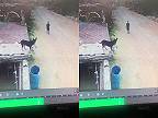 Pesa na chvíľu zabudol, že je na streche (PLACHTIL)
