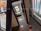 Toto je jediný spôsob, ako dostane mačku dnu
